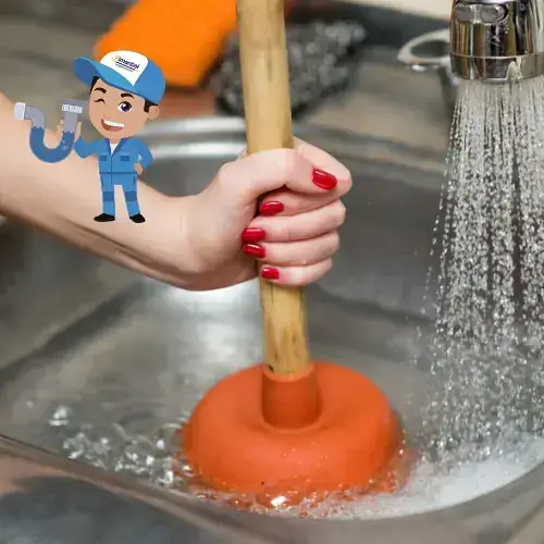 Desentupimento de Vasos Sanitários em Sítio Cercado